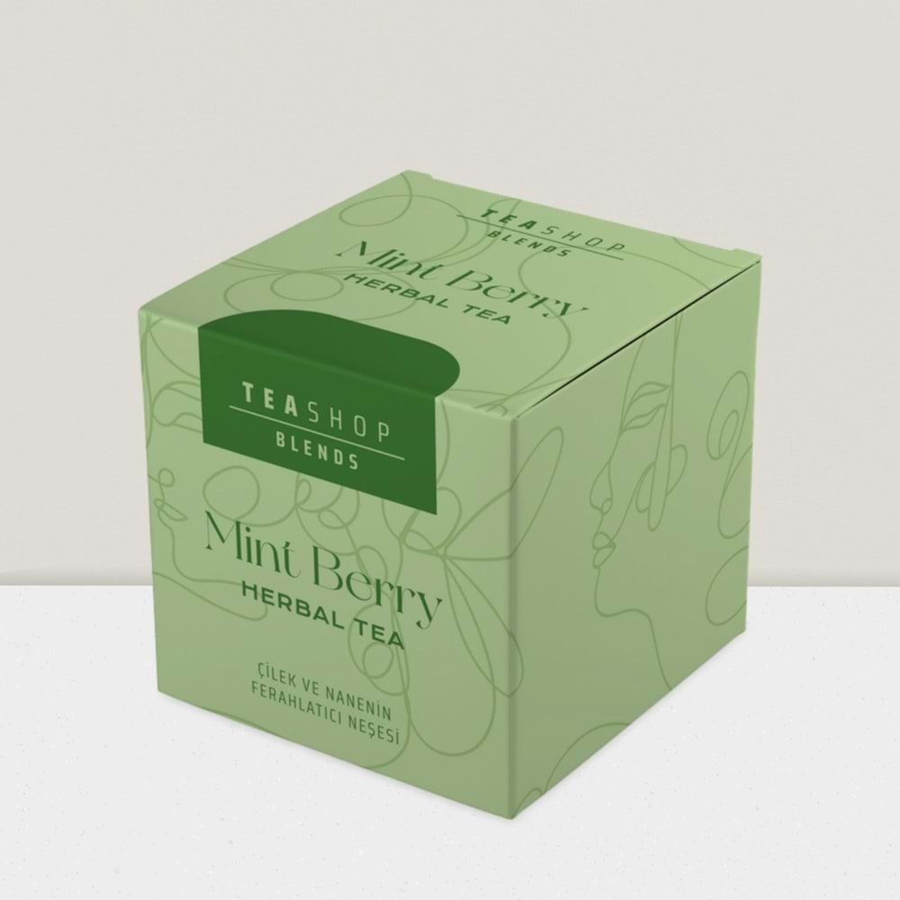 MINT BERRY TEA BAG 2G TEKLI